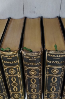 Novelas I, II, III, IV y V (obra completa, los cinco tomos)